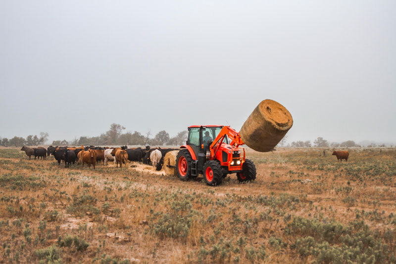 DewEze 165 Bale Hugger