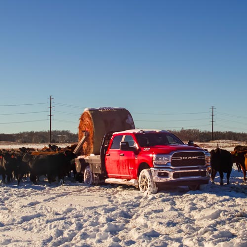 DewEze 800/900 Bale Beds