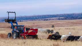 DewEze S3 Hay Slicer